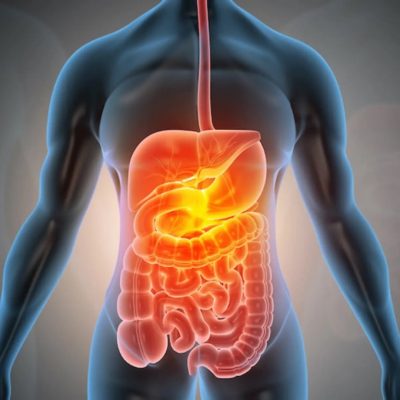 Recognise Healthy Body Systems