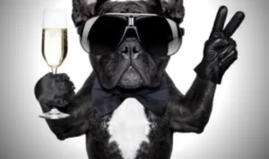 summer safety tips to keep your family safe