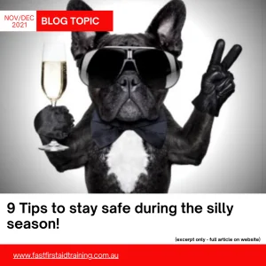 Blog Tips to stay safe in the silly season