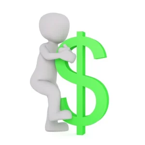 person holding a dollar sign